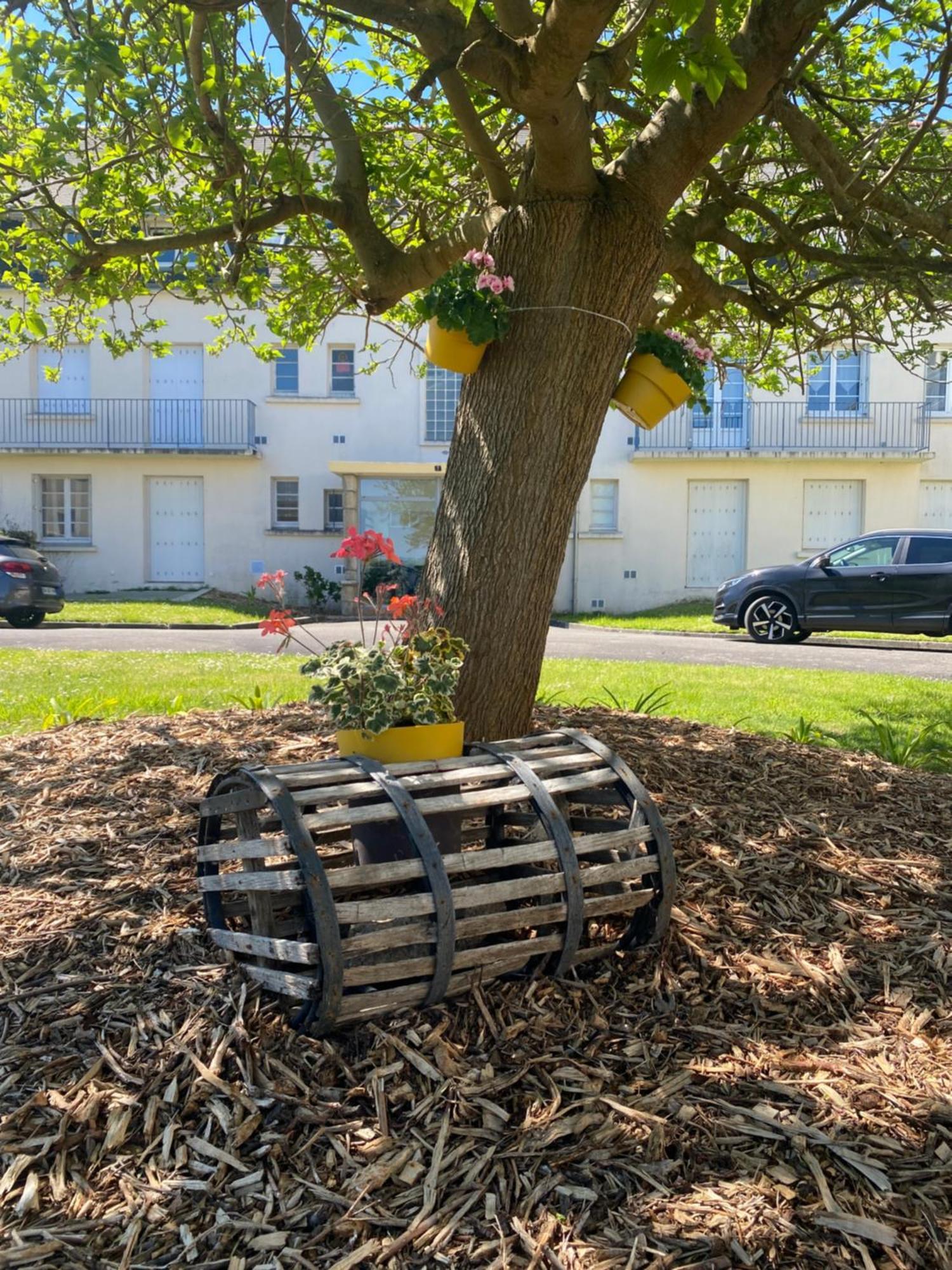 Superbe appartement à LOCTUDY calme, Océan, 200m plage Exterior foto